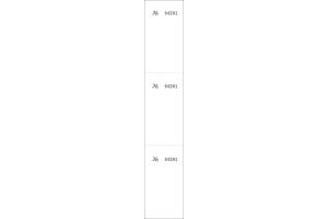 Bloco Talão De Comando 209Mm X 49Mm 100 Folhas - Sem Marca